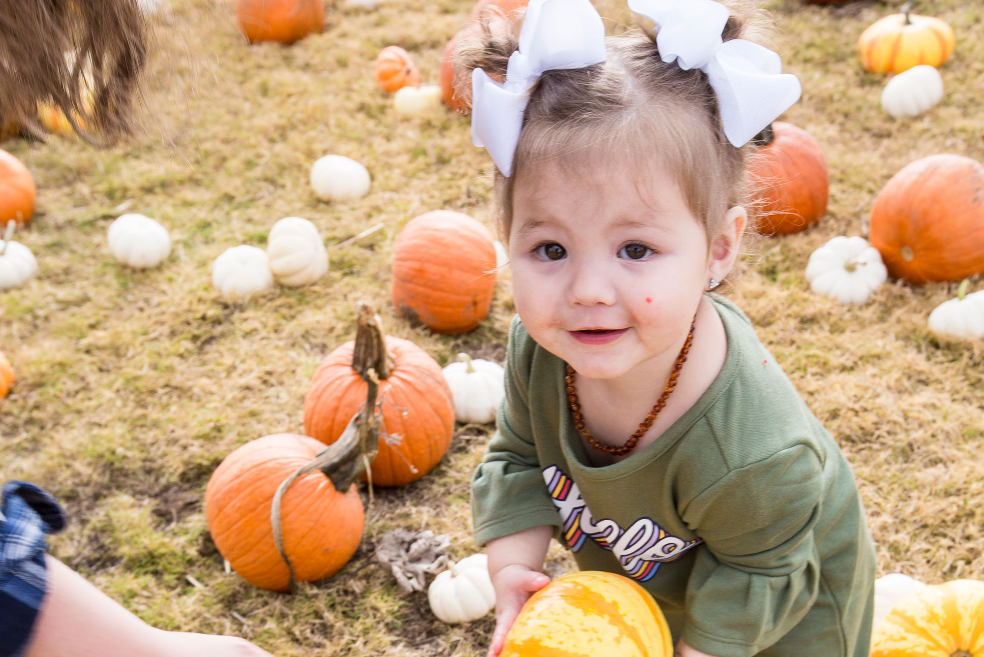 Farm to School Program